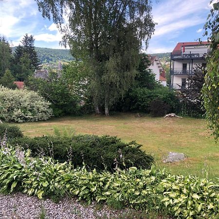 Appartement Rue Du Lac Gérardmer Esterno foto
